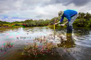 Sediment Sampling in Waterbody