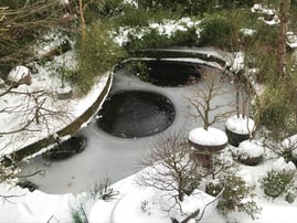 Koi Pond with Diffusers