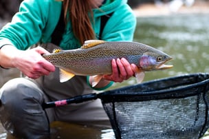 angler holding fish